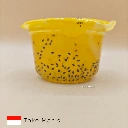 inaco jeruk 2(1).webp