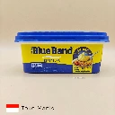 blue band 2(1).webp